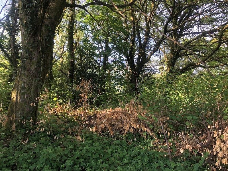 Property photo 3 of 4 Not Specified