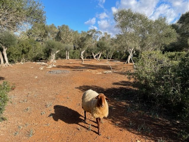 Property photo 2 of 9 01.Jpg