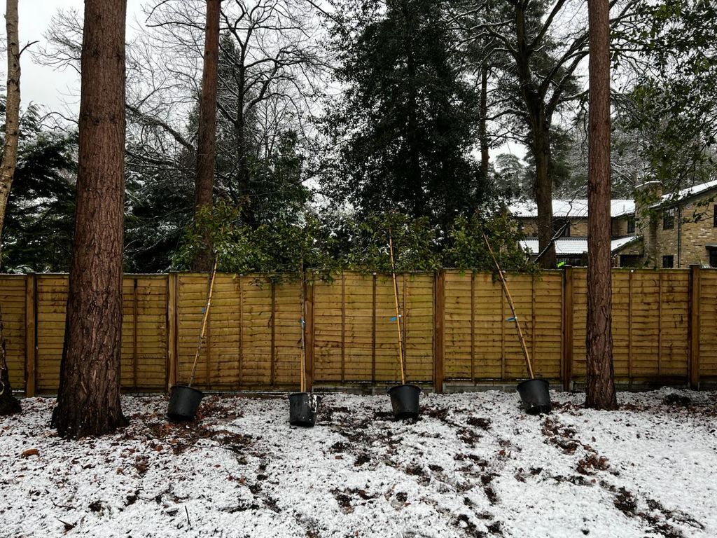 Additional image 14 of Land for salePlot Of Land, St Marys Road, Ascot, Berkshire SL5