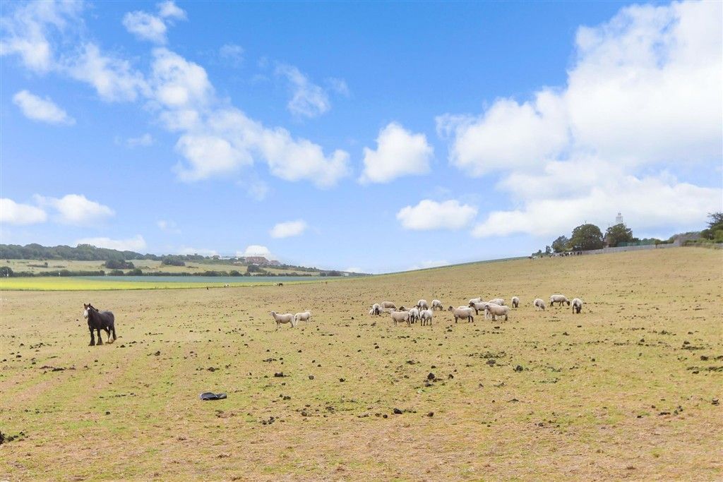 Property photo 2 of 12 Surrounding Area