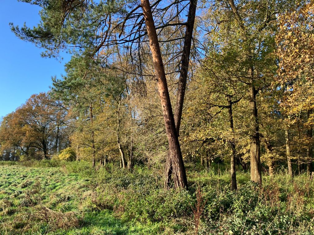 Property photo 1 of 5 Picture No. 01