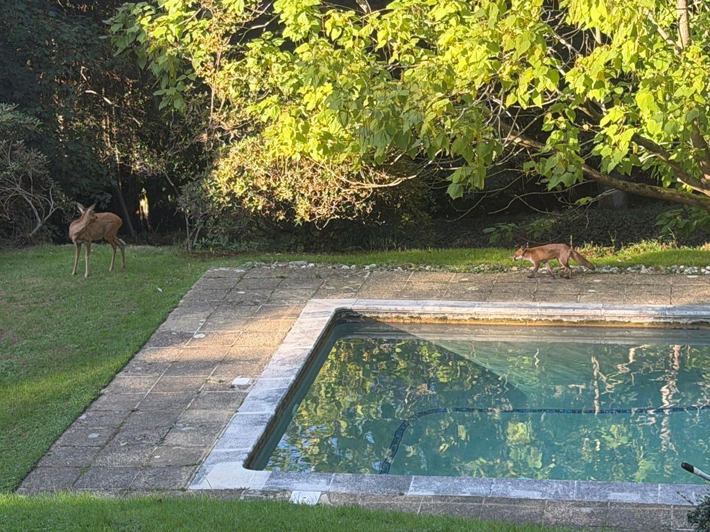 Property photo 2 of 10 2