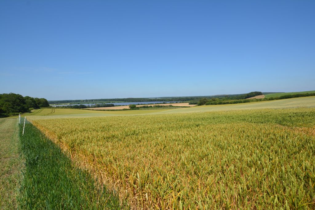 Additional image 5 of Land for saleBilsthorpe Road, Eakring NG22