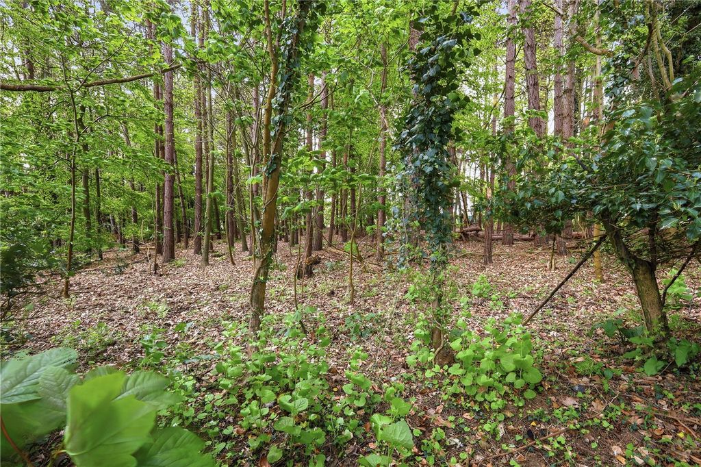 Property photo 3 of 8 Harrison Wood