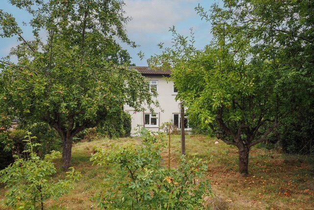 Property photo 3 of 14 Garden