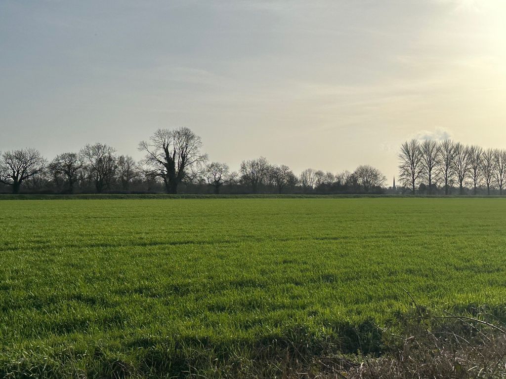 Property photo 3 of 5