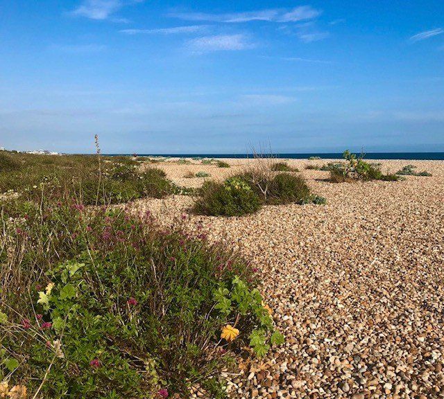 Property photo 3 of 17 Picture No. 23