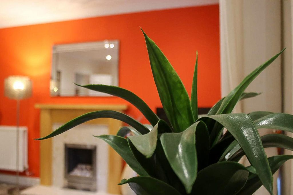 Property photo 3 of 21 Zg9Ypmfogegnidqcgx7Fiw.Jpg