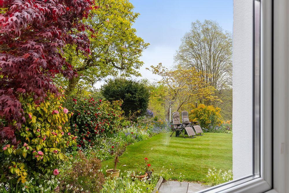 Additional image 6 of 6 bed detached house for saleCollege Road, Newton Abbot TQ12