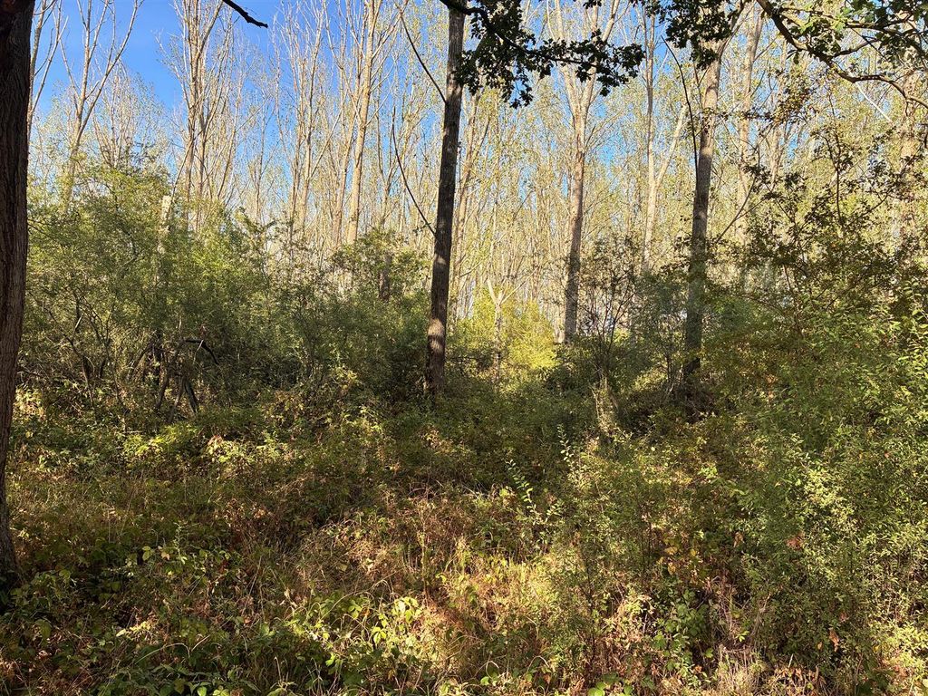 Property photo 1 of 5 General Woodlands.Jpg