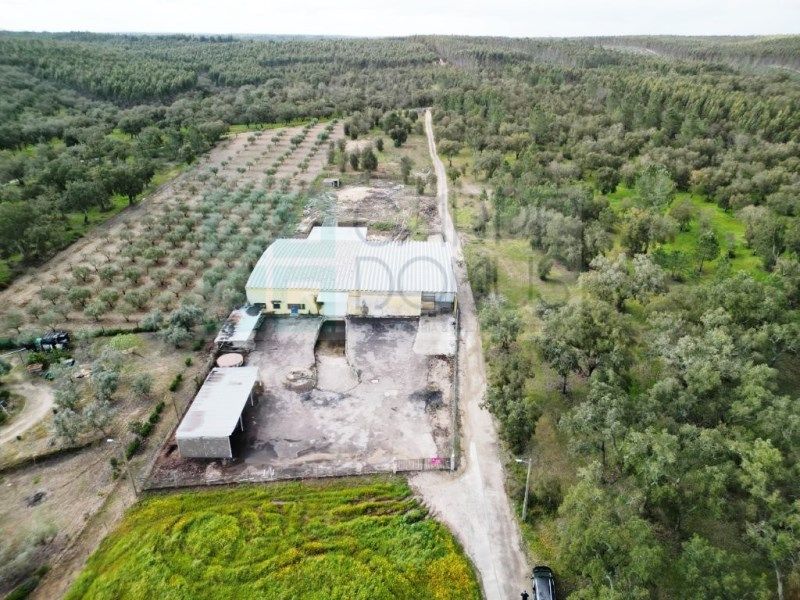 Property photo 3 of 72