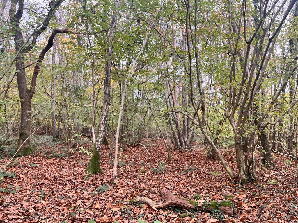 Property photo 2 of 5 Picture No. 02