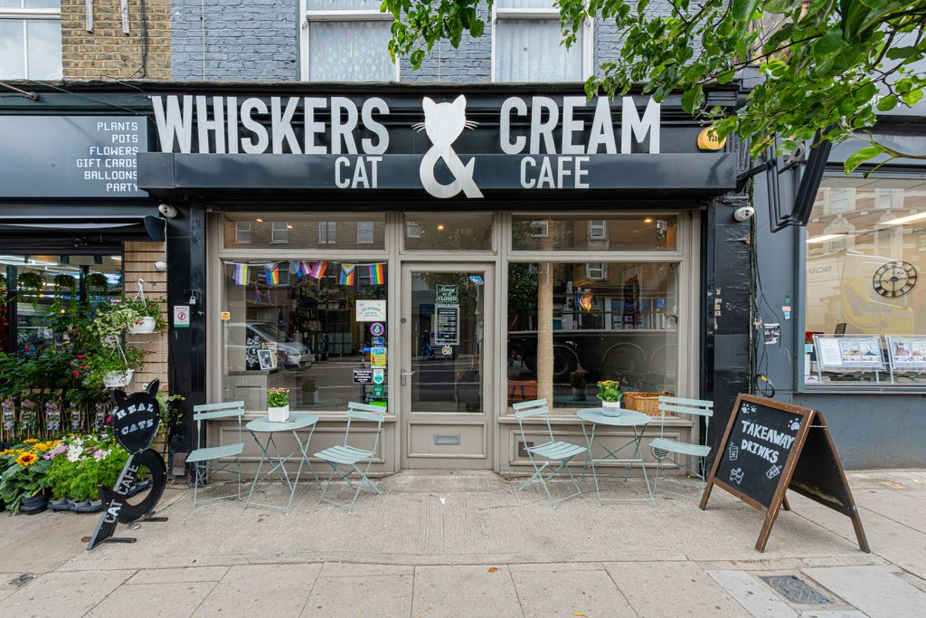 Property photo 1 of 29 Holloway Road 593-029