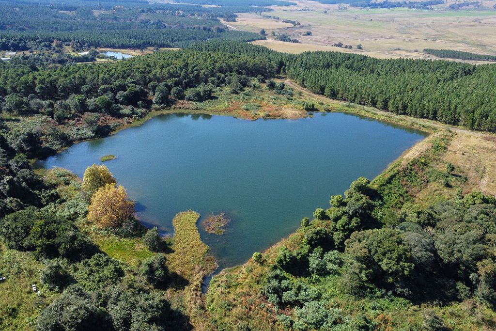 Property photo 2 of 45 1Pm1699804