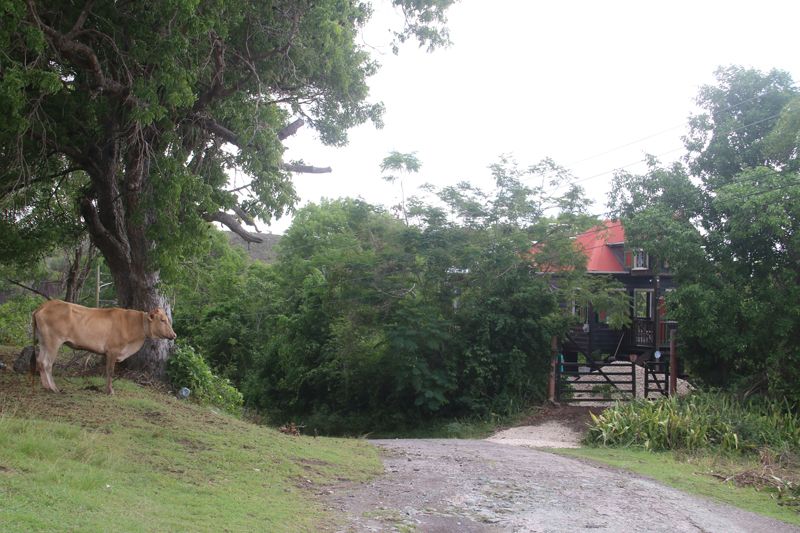 Property photo 3 of 22