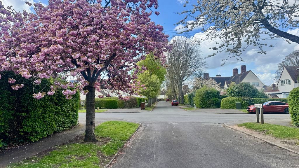 Property photo 2 of 22 Photo 22