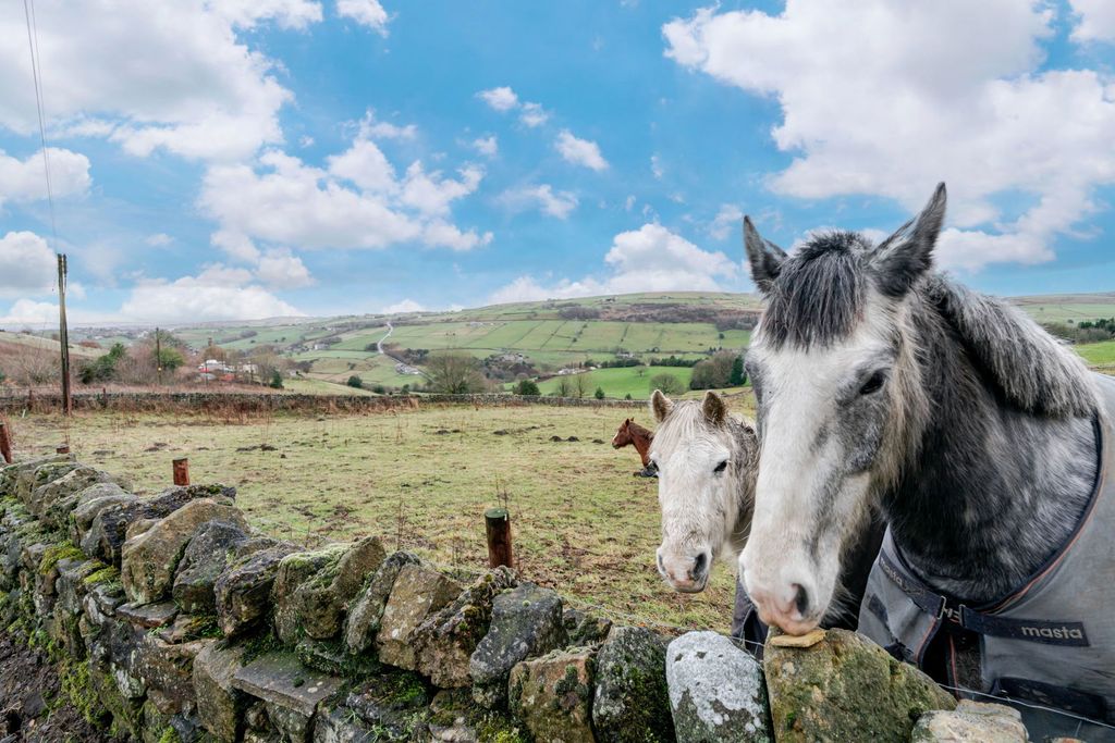 Property photo 3 of 29