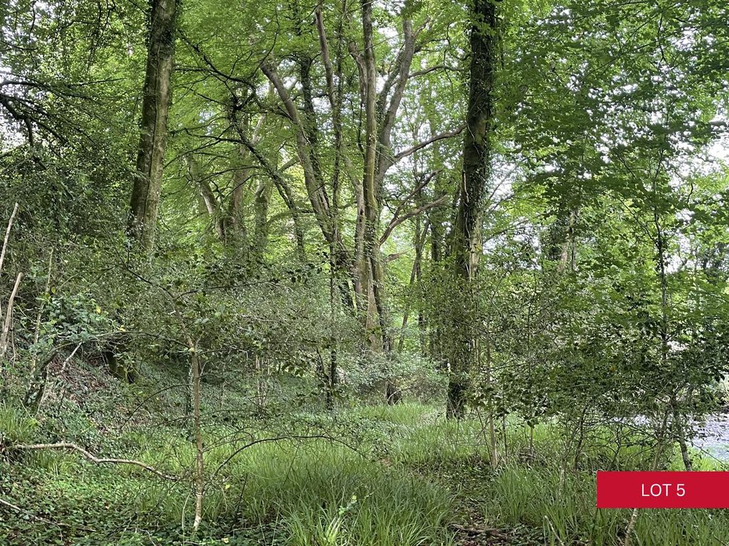 Property photo 1 of 20 Lot 5 (22).Png