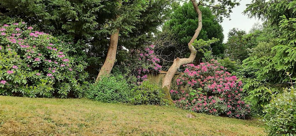 Property photo 3 of 32 Garden