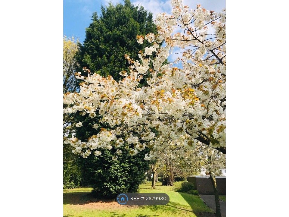 Property photo 1 of 17 Garden