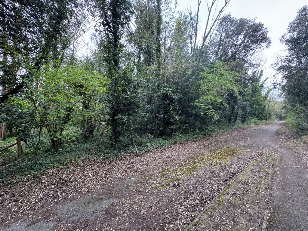 Property photo 3 of 5 Woodland To The Left Hand Side Of Old Road