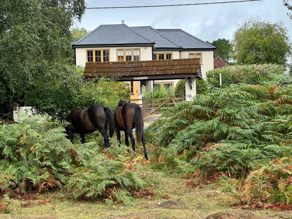 Property photo 2 of 25 Picture No. 65