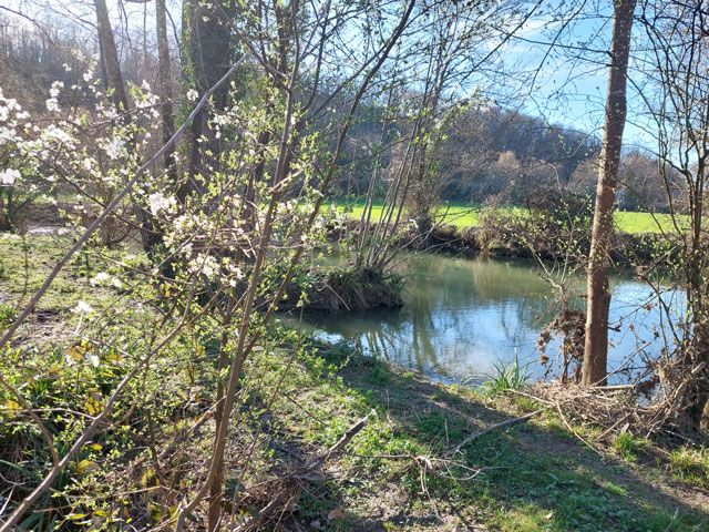 Property photo 2 of 31