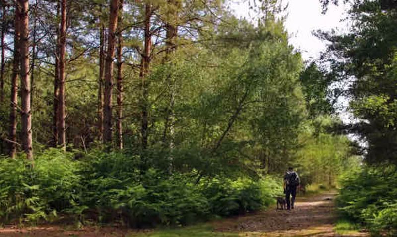 Property photo 2 of 13 Photo 10