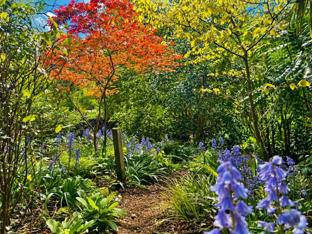 Property photo 3 of 29 Gardens