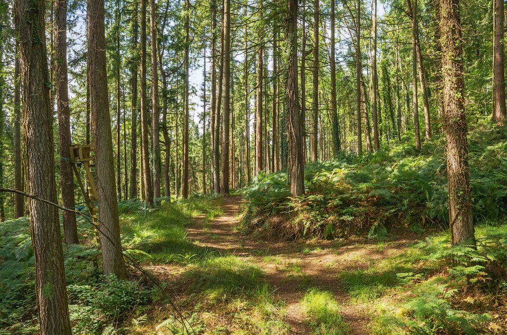 Property photo 2 of 23 Woods Nr. Stoodleigh