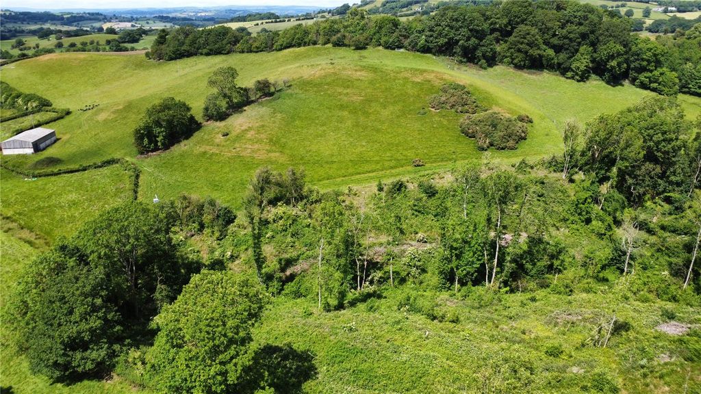 Additional image 10 of Land for saleSarn, Newtown, Powys SY16