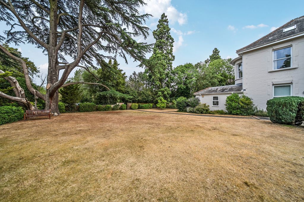Property photo 3 of 22 1496244-5-6A60882...