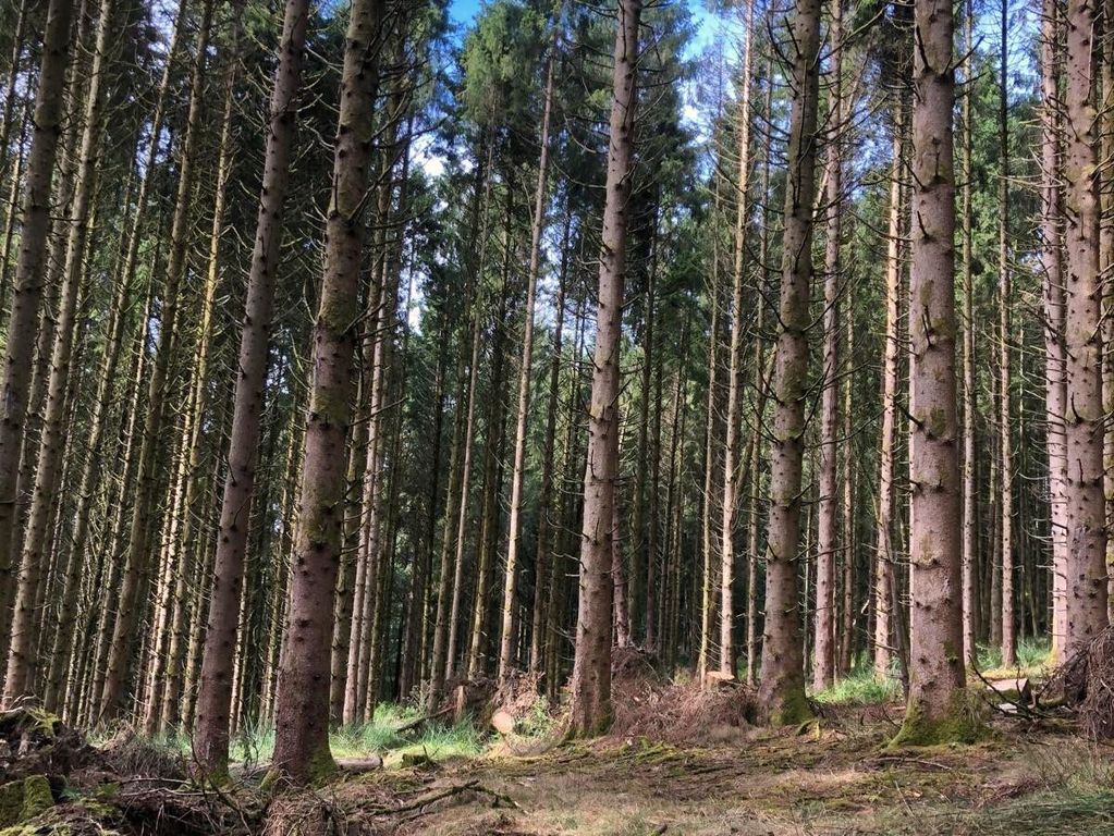 Property photo 1 of 8 Loxbeare Wood