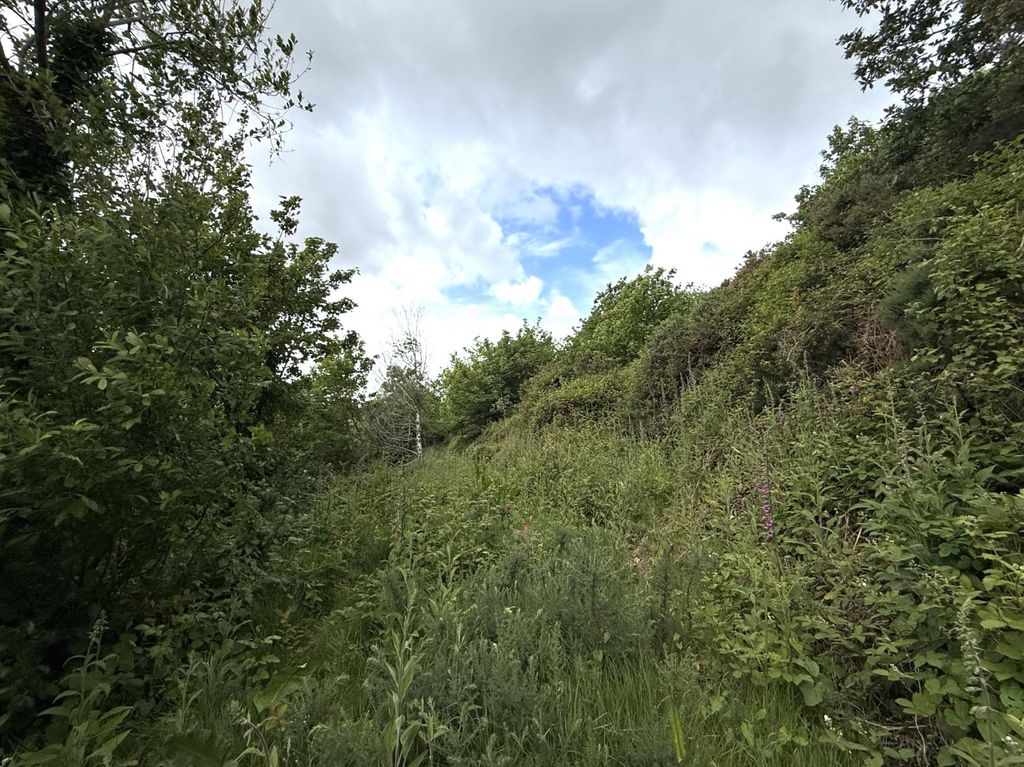 Additional image 21 of 4 bed farm for saleFernfield, Baglan, Port Talbot, Neath Port Talbot. SA12