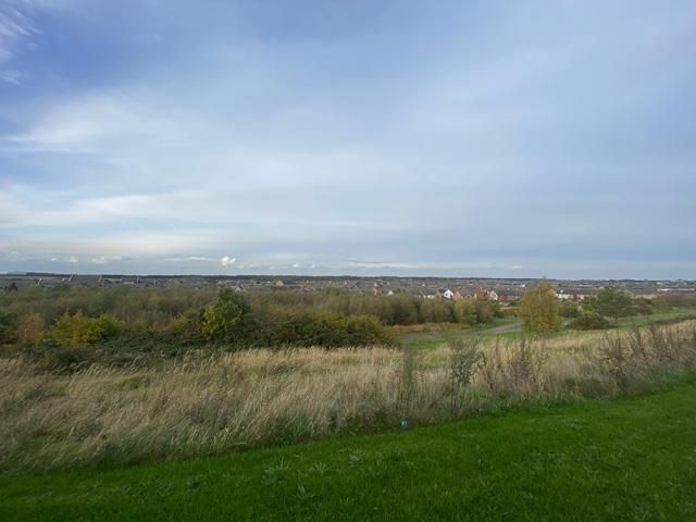 Additional image 18 of 3 bed semi-detached house to rentDewey Close, Hampton Heights, Peterborough PE7