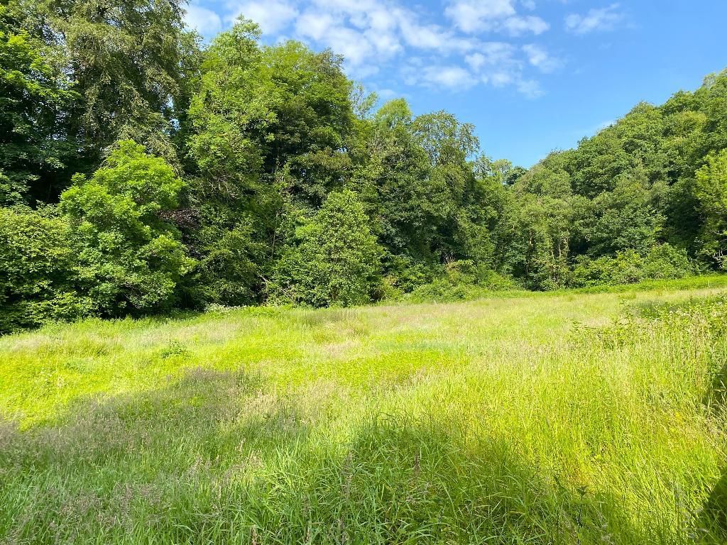 Property photo 3 of 51 Paddock Next To River