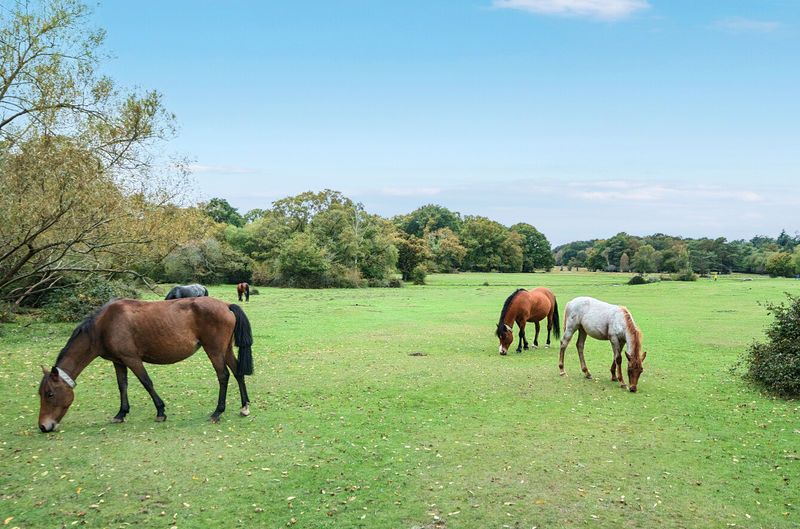 Property photo 2 of 9 Photo 5