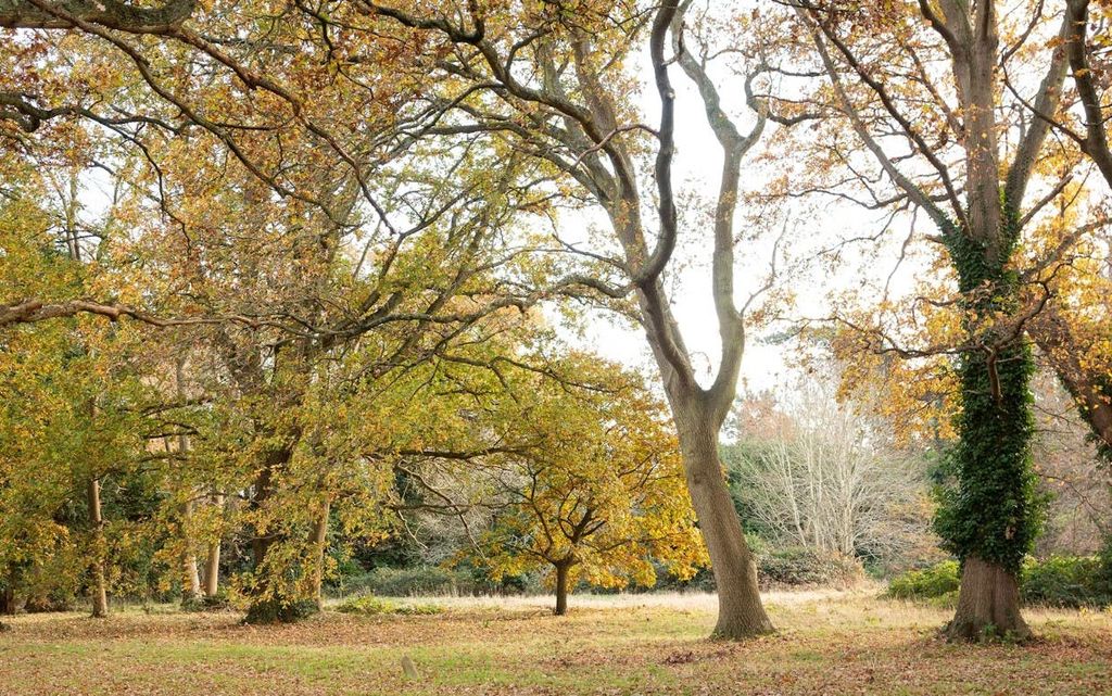 Property photo 1 of 5 Screenshot 2026-02-27 091518.Jpg