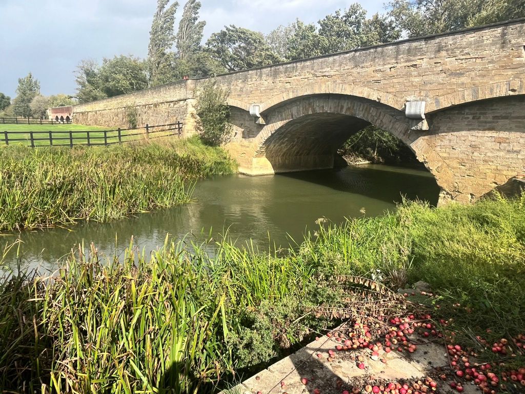 Property photo 3 of 23