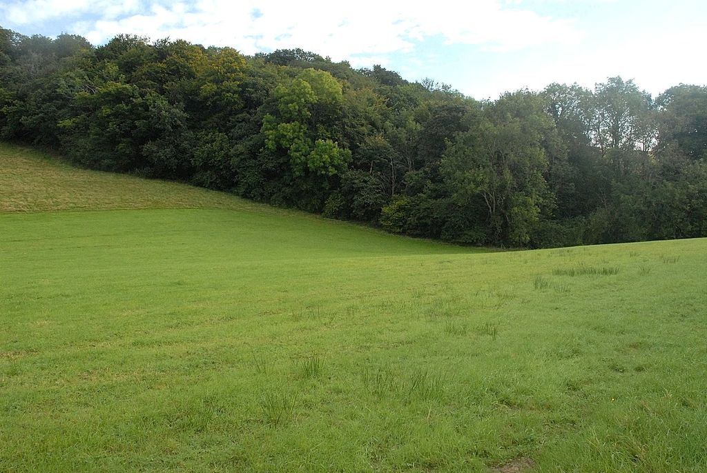 Additional image 39 of 4 bed detached house for saleLlanfyllin, Powys SY22