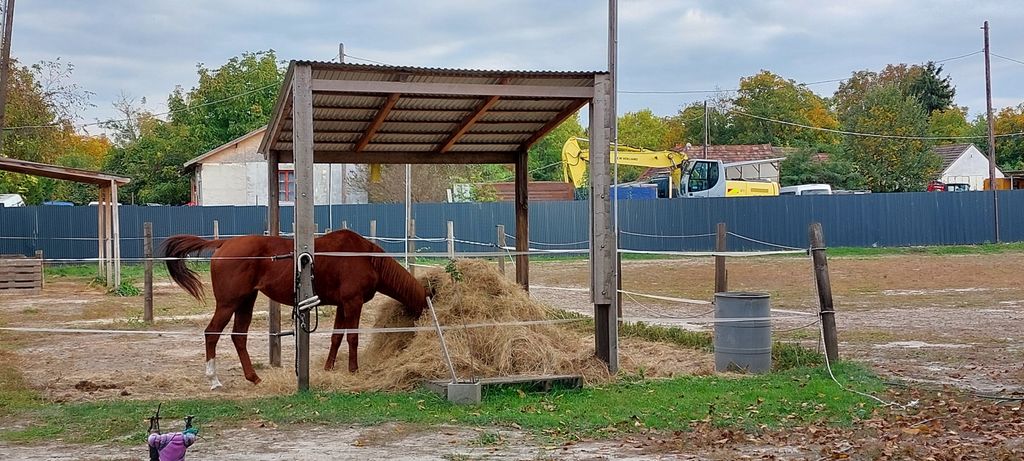 Property photo 1 of 36