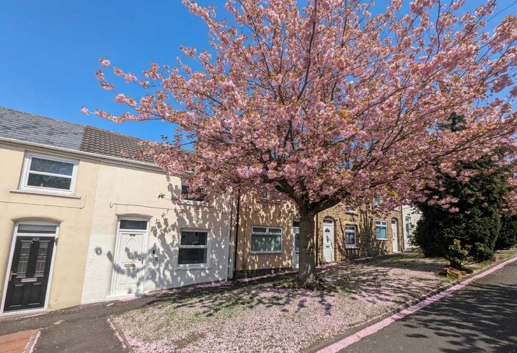 Property photo 1 of 14