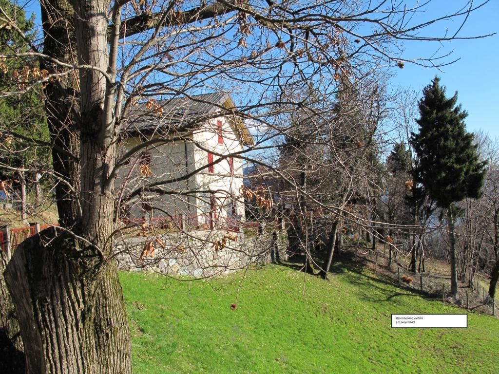 Property photo 2 of 49