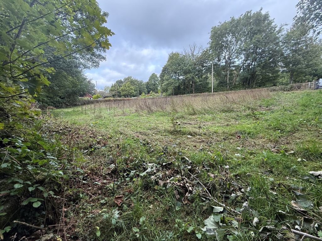 Property photo 3 of 12