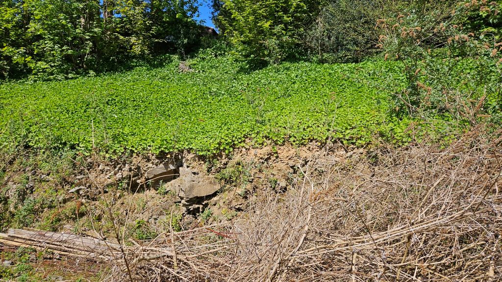 Additional image 4 of Land for saleFlaxmoor Terrace, Bodmin PL31