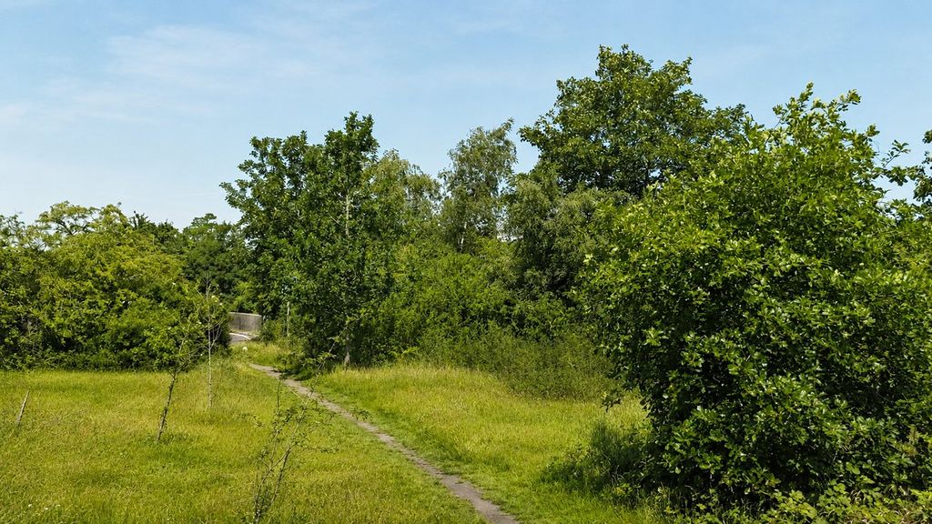 Land for saleRingwood BH24 photo 4