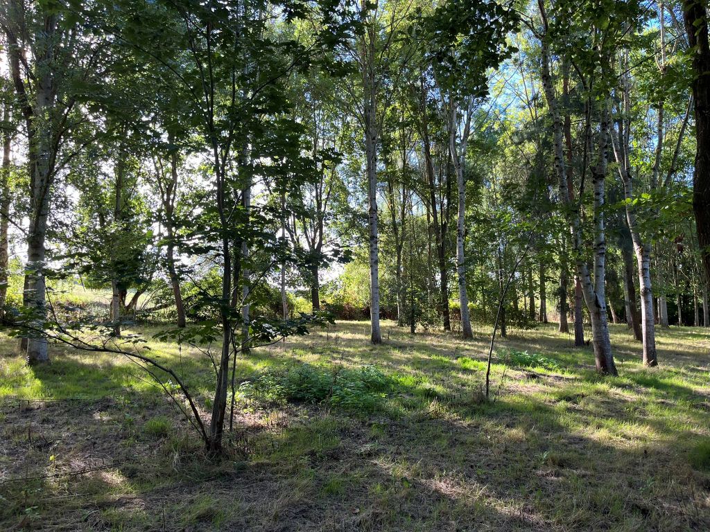 Property photo 2 of 6 Web Img_3367
