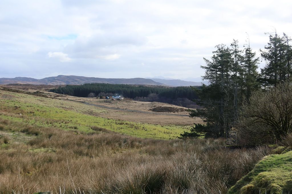 Property photo 3 of 41