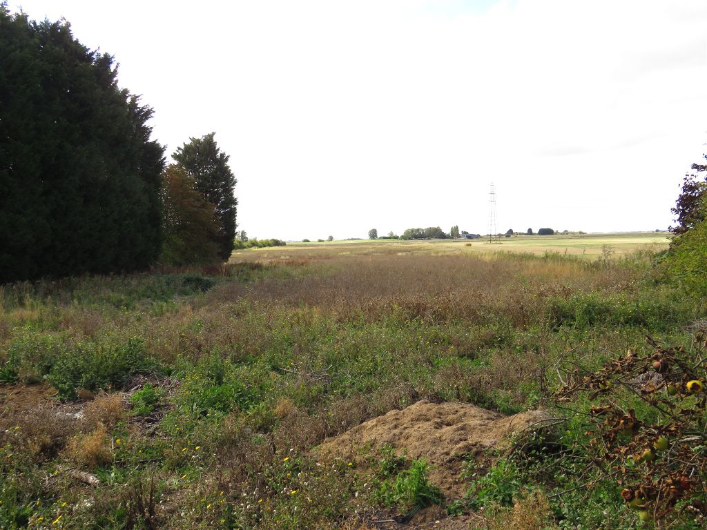 Property photo 3 of 25