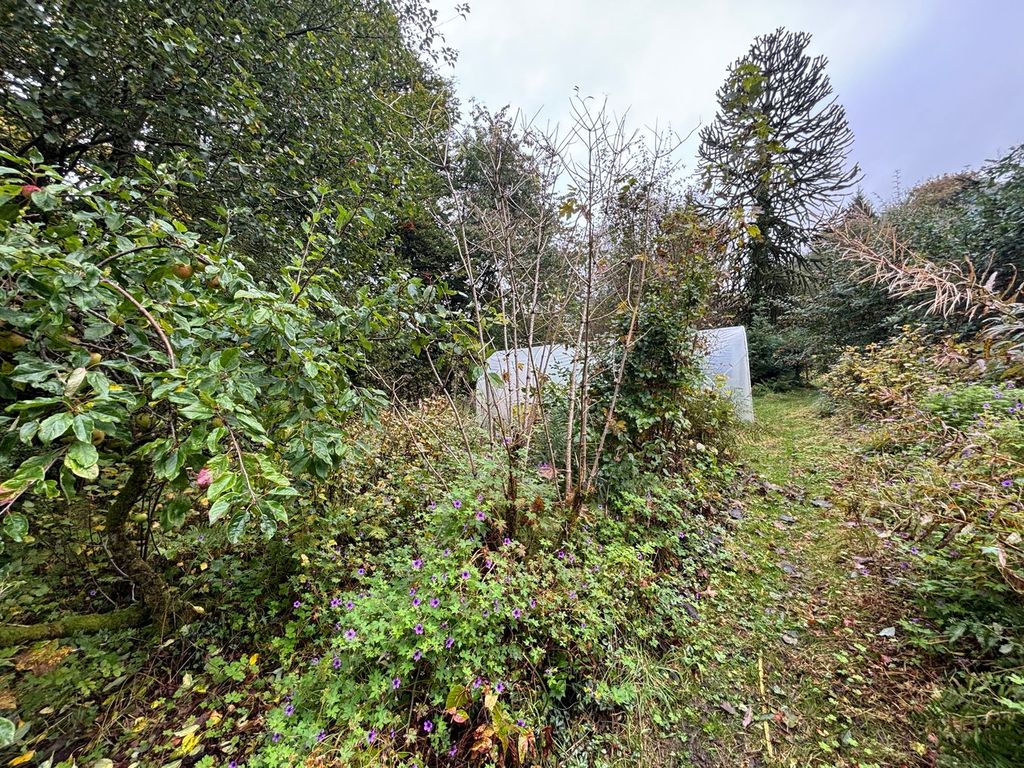 Additional image 23 of 4 bed farm for saleLlanddewi Brefi, Tregaron SY25